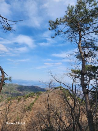 헤라여신^^♡님의 산불 피해 괜찮으신가요? · 참여글 작성글 사진