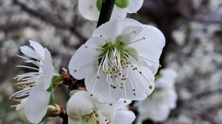 이정운님의 자유주제 · 자유게시판 작성글 사진