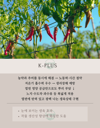 농업마켓365님의 작성글 사진