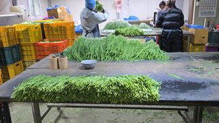 조일현님의 작성글 사진