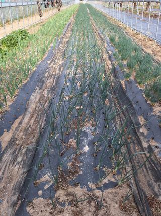 강순녀님의 자유주제 · 자유게시판 작성글 사진