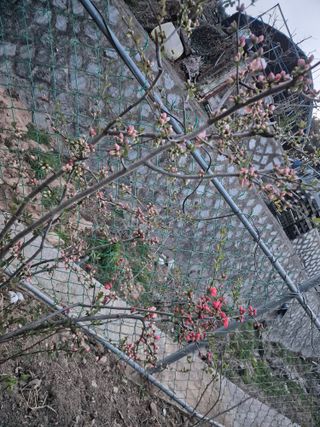 봉림동 태진농장님의 자유주제 · 자유게시판 작성글 사진