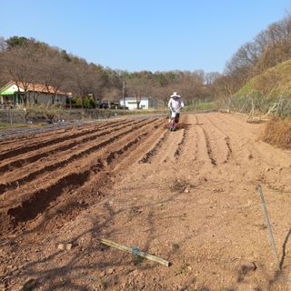 전진욱님의 자유주제 · 자유게시판 작성글 사진