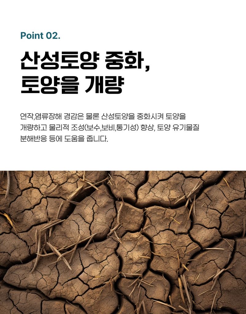 플랜큐님의 장터 판매 상품 [더쎈 칼슘마그 10kg 고품질 석회 고토 유황 붕소 비료 토양개량제] 첨부 사진