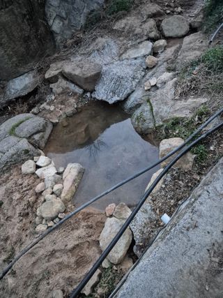 봉림동 태진농장님의 자유주제 · 자유게시판 작성글 사진