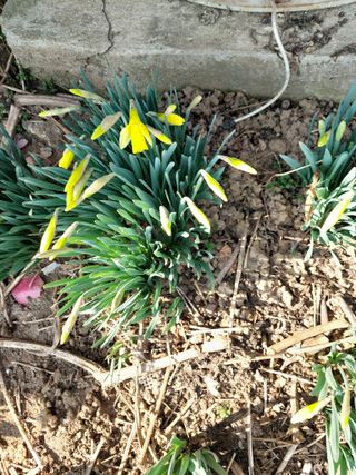 재연농장님의 자유주제 · 자유게시판 작성글 사진