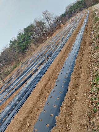 재연농장님의 자유주제 · 자유게시판 작성글 사진