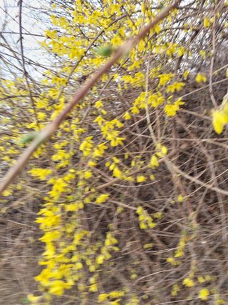 재연농장님의 자유주제 · 자유게시판 작성글 사진