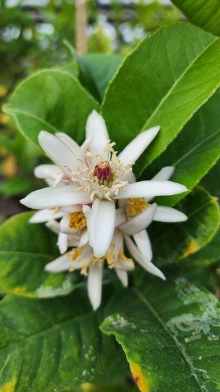 정미리님의 자유주제 · 자유게시판 작성글 사진