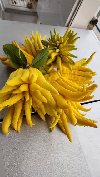 정미리님의 자유주제 · 자유게시판 작성글 사진