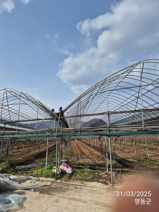 젠틀맨님의 자유주제 · 자유게시판 작성글 사진