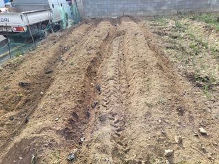 조상희님의 자유주제 · 자유게시판 작성글 사진