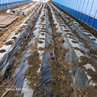 박용열조물주님 님의 자유주제 · 자유게시판 작성글 사진