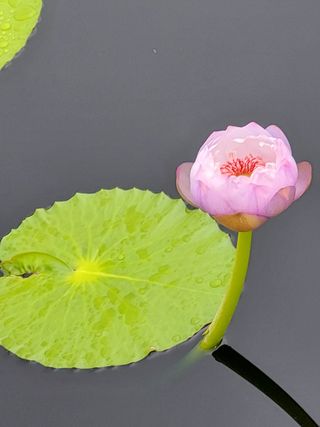 무형교회목사 안영진님의 작성글 사진