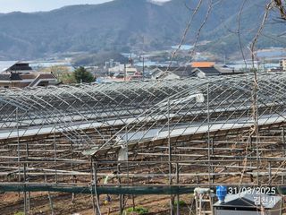 젠틀맨님의 자유주제 · 자유게시판 작성글 사진