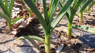 알 수 없음님의 자유주제 · 자유게시판 작성글 사진