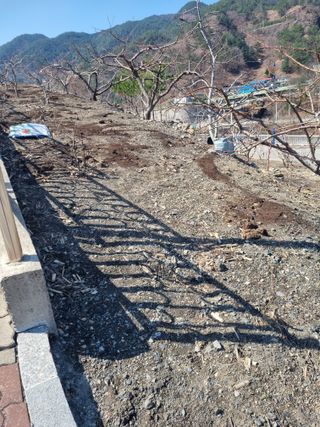 김용대님의 자유주제 · 자유게시판 작성글 사진