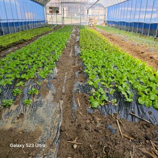 박용열조물주님 님의 자유주제 · 자유게시판 작성글 사진