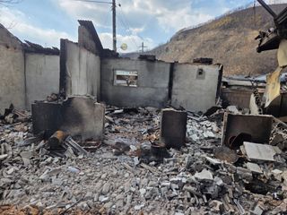 지동골님의 산불 피해 괜찮으신가요? · 참여글 작성글 사진