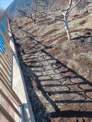 김용대님의 자유주제 · 자유게시판 작성글 사진