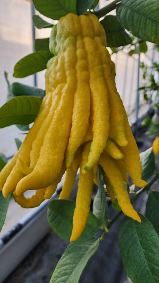 정미리님의 자유주제 · 자유게시판 작성글 사진