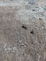 팜모닝 농사, 무엇이든 물어보세요!·참여글 게시글 이미지