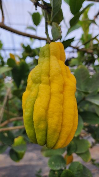 정미리님의 자유주제 · 자유게시판 작성글 사진