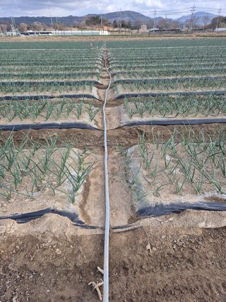 송광만님의 자유주제 · 자유게시판 작성글 사진