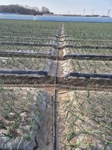 팜모닝 자유주제·자유게시판 게시글 이미지