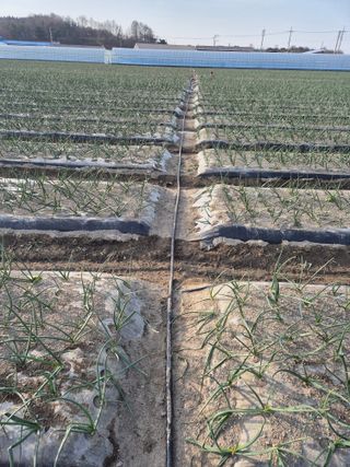 송광만님의 자유주제 · 자유게시판 작성글 사진