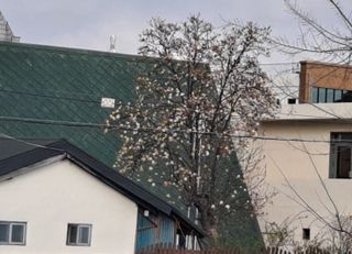 MSG0074님의 자유주제 · 자유게시판 작성글 사진