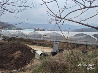 젠틀맨님의 자유주제 · 자유게시판 작성글 사진