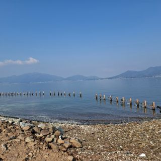 오영도님의 자유주제 · 자유게시판 작성글 사진