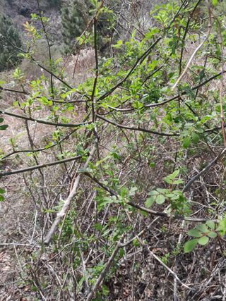 김민수산에서농사중님의 자유주제 · 자유게시판 작성글 사진