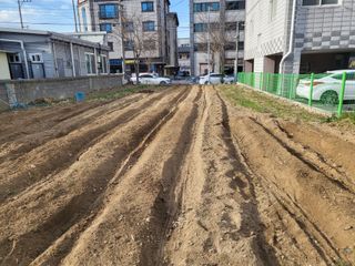 조상희님의 자유주제 · 자유게시판 작성글 사진