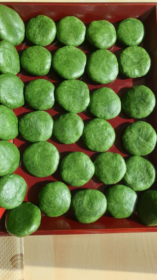 마늘양파참님의 2025 풍년들게 하소서! · 참여글 작성글 사진