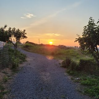 dor3720님의 2025 풍년들게 하소서! · 참여글 작성글 사진