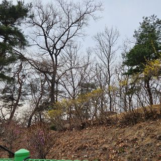 박성찬님의 자유주제 · 자유게시판 작성글 사진