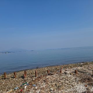 오영도님의 자유주제 · 자유게시판 작성글 사진