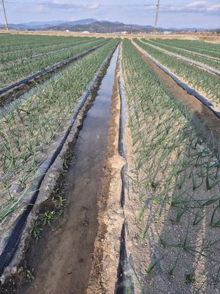 송광만님의 자유주제 · 자유게시판 작성글 사진