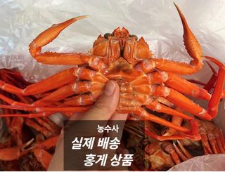 농수사님의 자유주제 · 자유게시판 작성글 사진