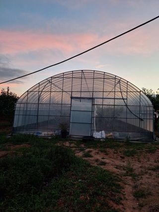 dor3720님의 2025 풍년들게 하소서! · 참여글 작성글 사진