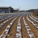 팜모닝 2025 풍년들게 하소서!·참여글 게시글 이미지