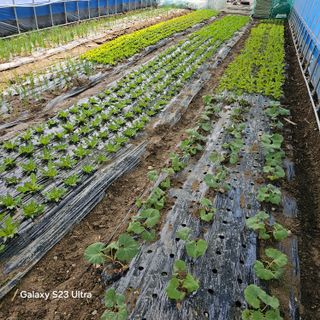 박용열조물주님 님의 자유주제 · 자유게시판 작성글 사진