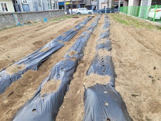 조상희님의 자유주제 · 자유게시판 작성글 사진