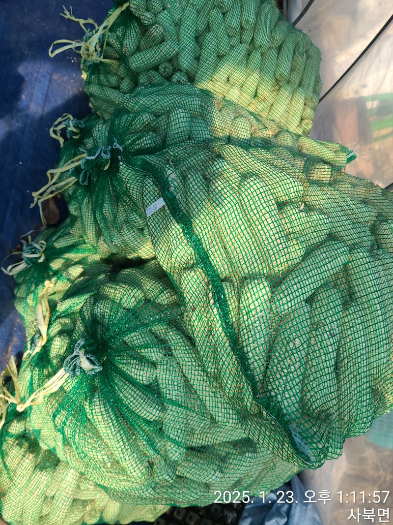 장터 상품 [마른 옥수수 탈곡기(삽니다)] 썸네일