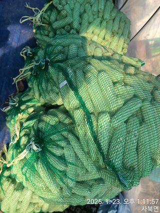 윤인석님의 작성글 사진