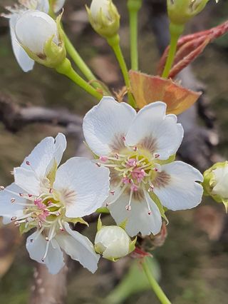 하나라도 소중하게님의 자유주제 · 자유게시판 작성글 사진
