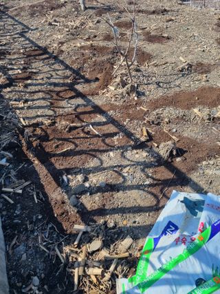 김용대님의 자유주제 · 자유게시판 작성글 사진