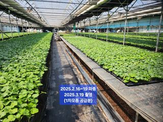 박수현님의 자유주제 · 자유게시판 작성글 사진